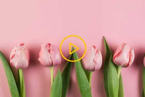 Είμαστε Ένα με δυναμικές γυναίκες